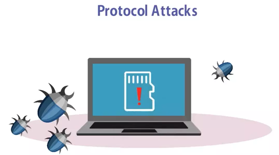 Protocol attacks
